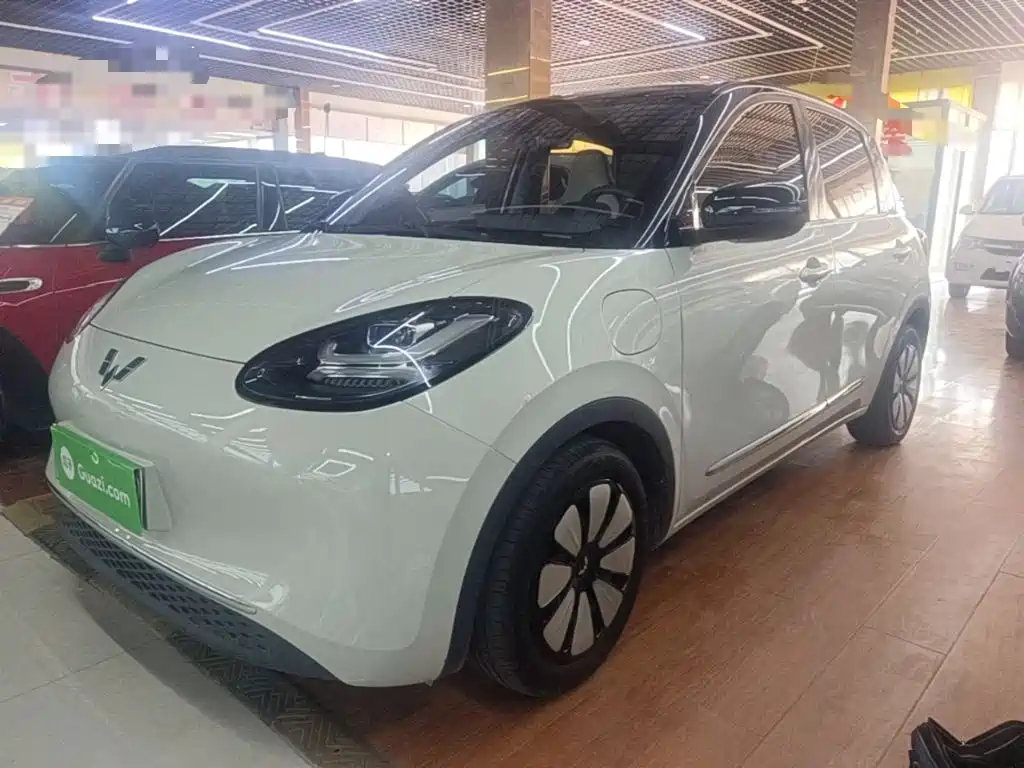 Wuling Binguo