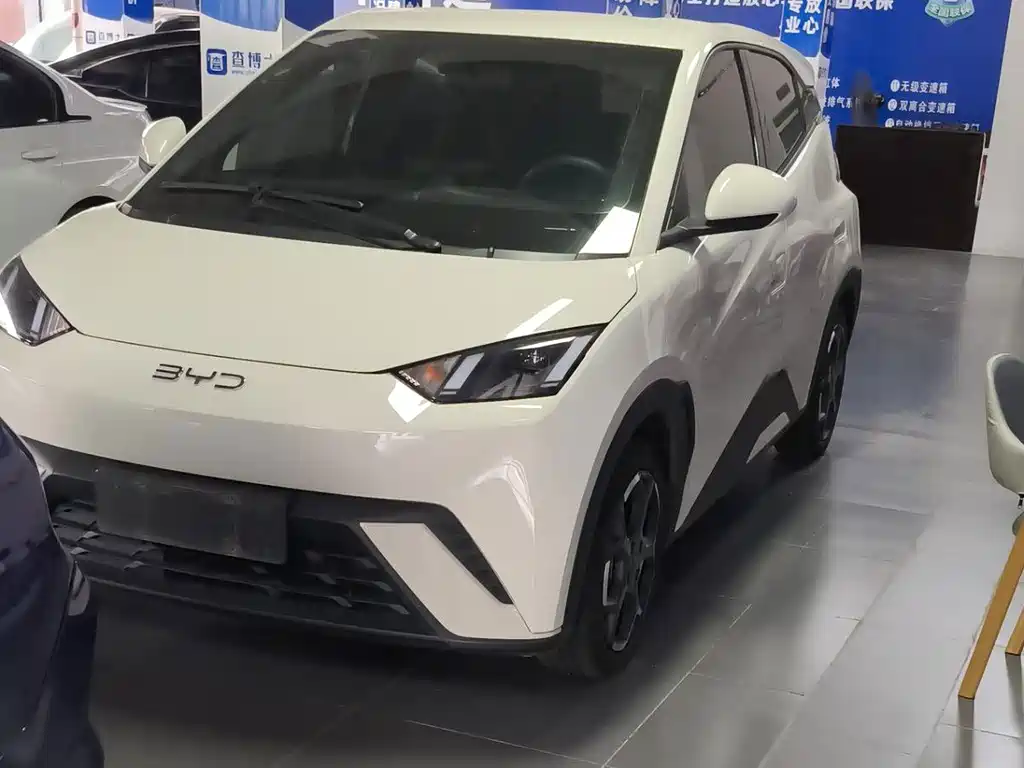 BYD Seagull