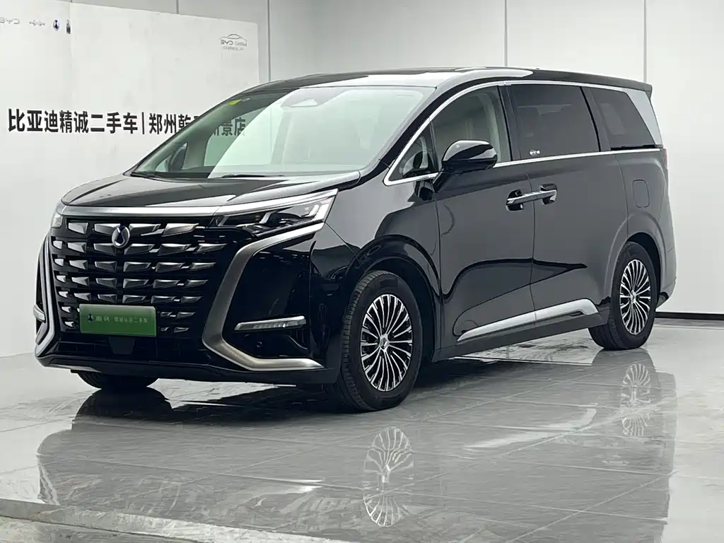 Denza D9