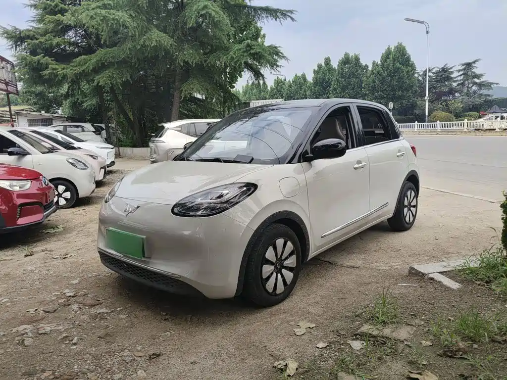 Wuling Binguo