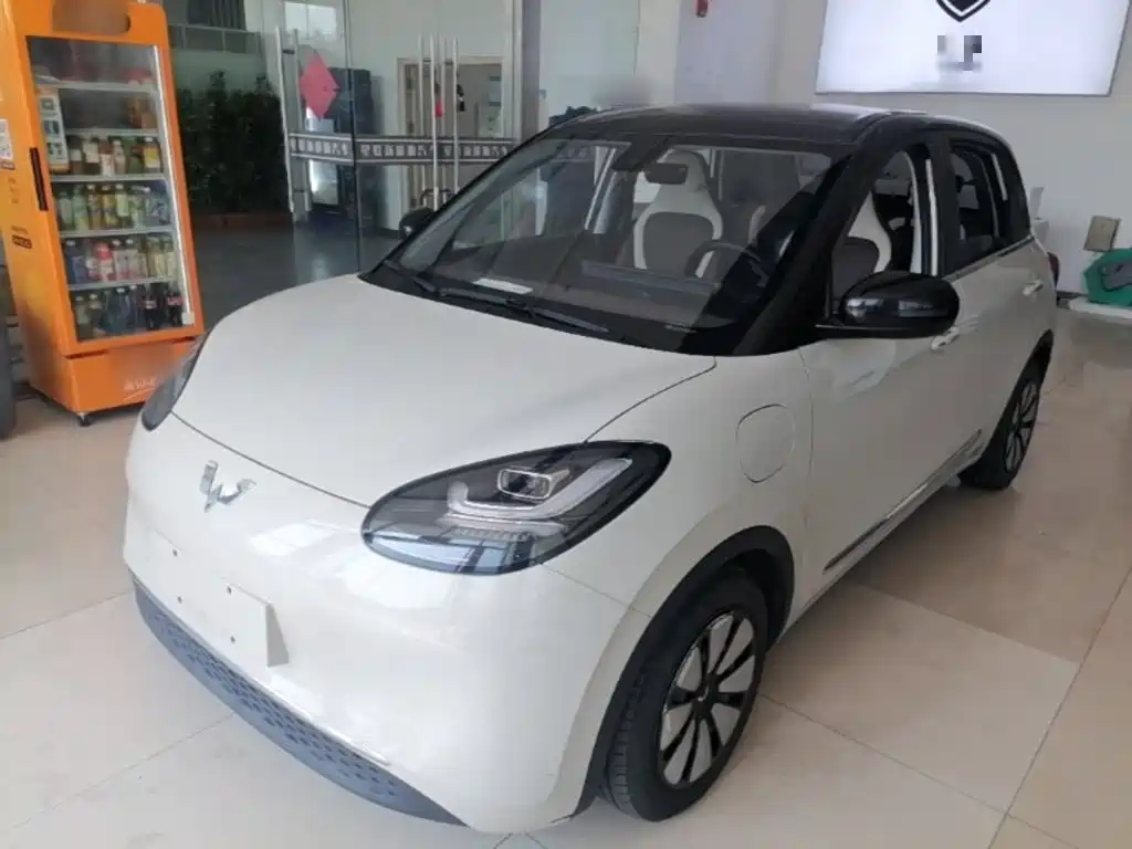 Wuling Binguo
