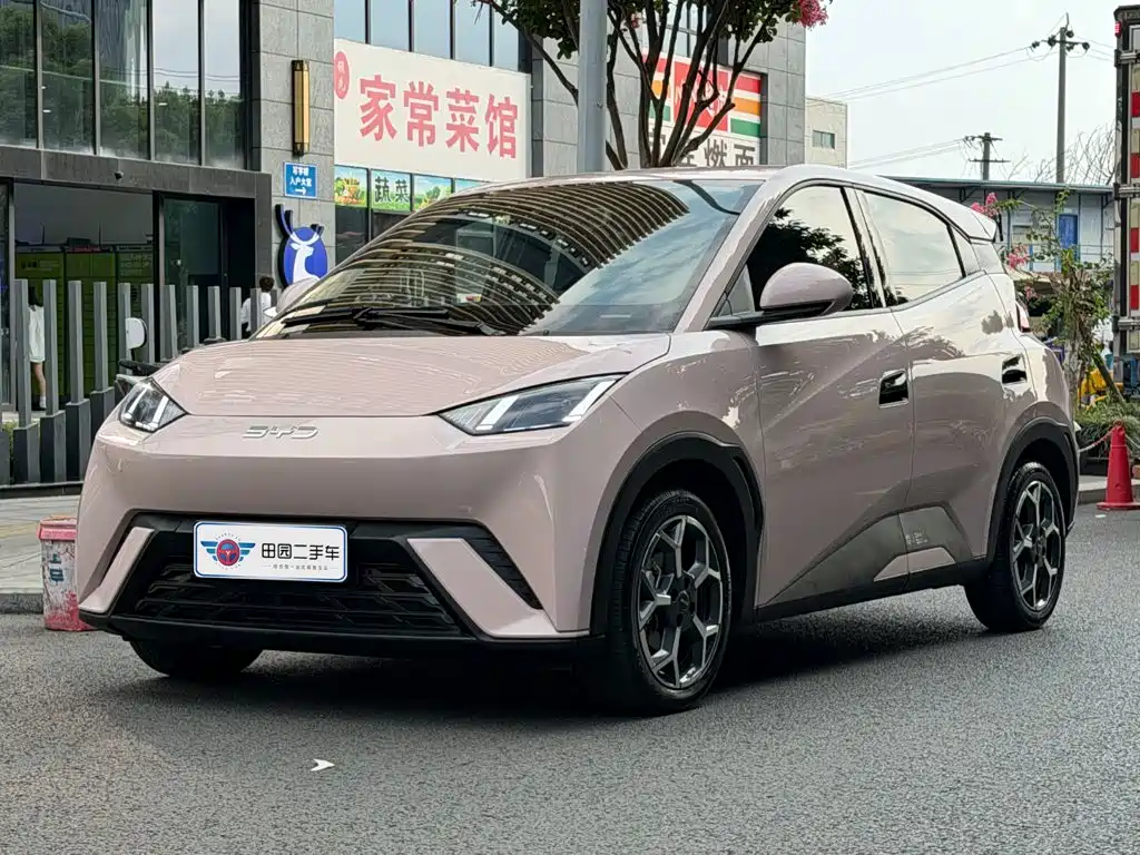 BYD Seagull