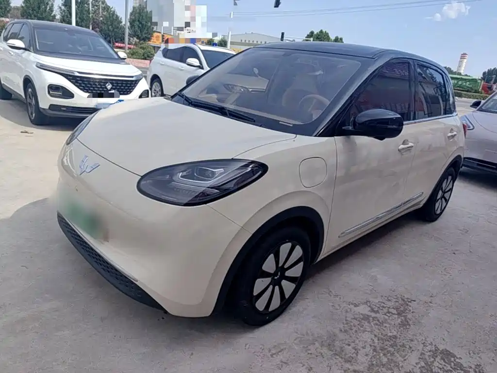 Wuling Binguo