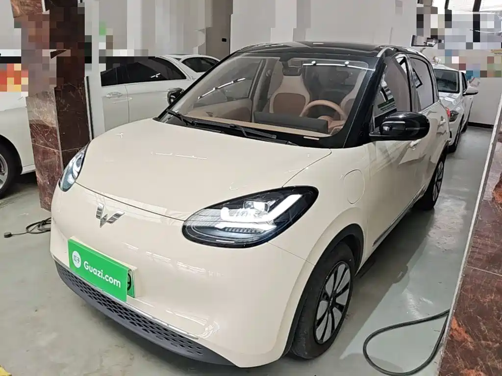 Wuling Binguo