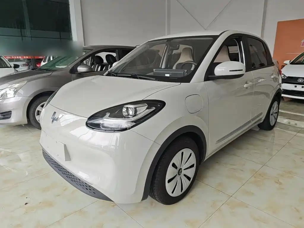Wuling Binguo