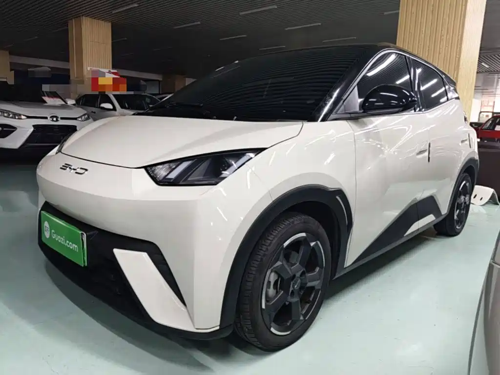 BYD Seagull
