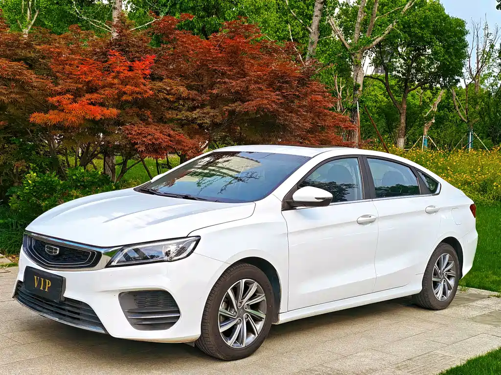 Geely Binrui