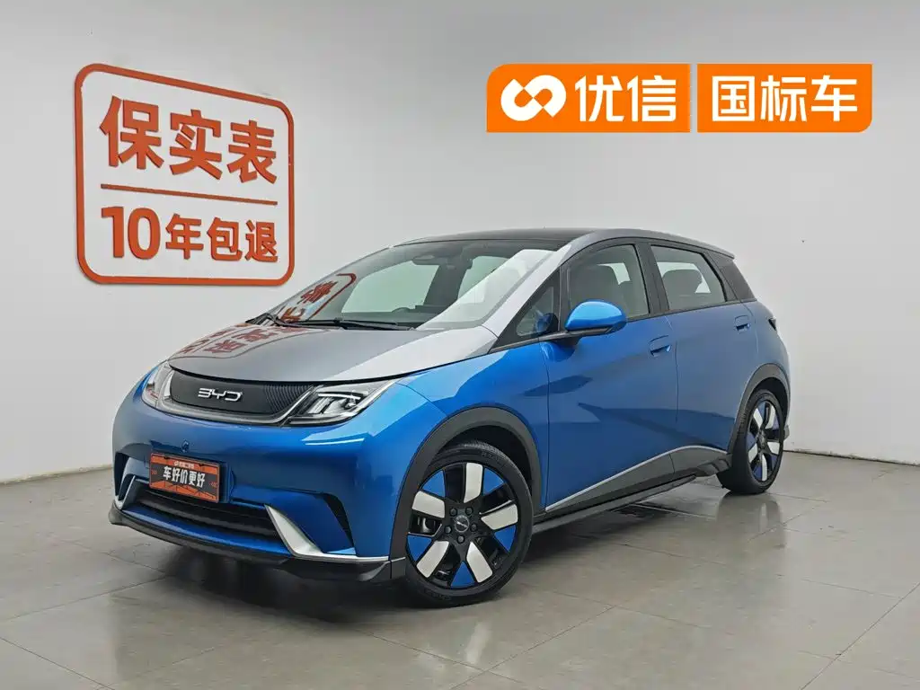 BYD Dolphin