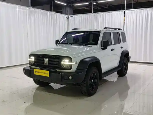 Tank 300