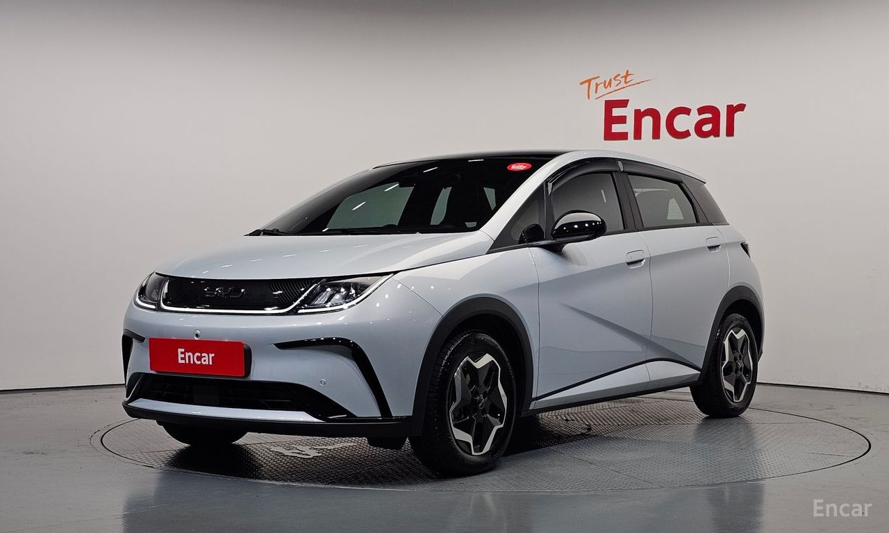 BYD Dolphin
