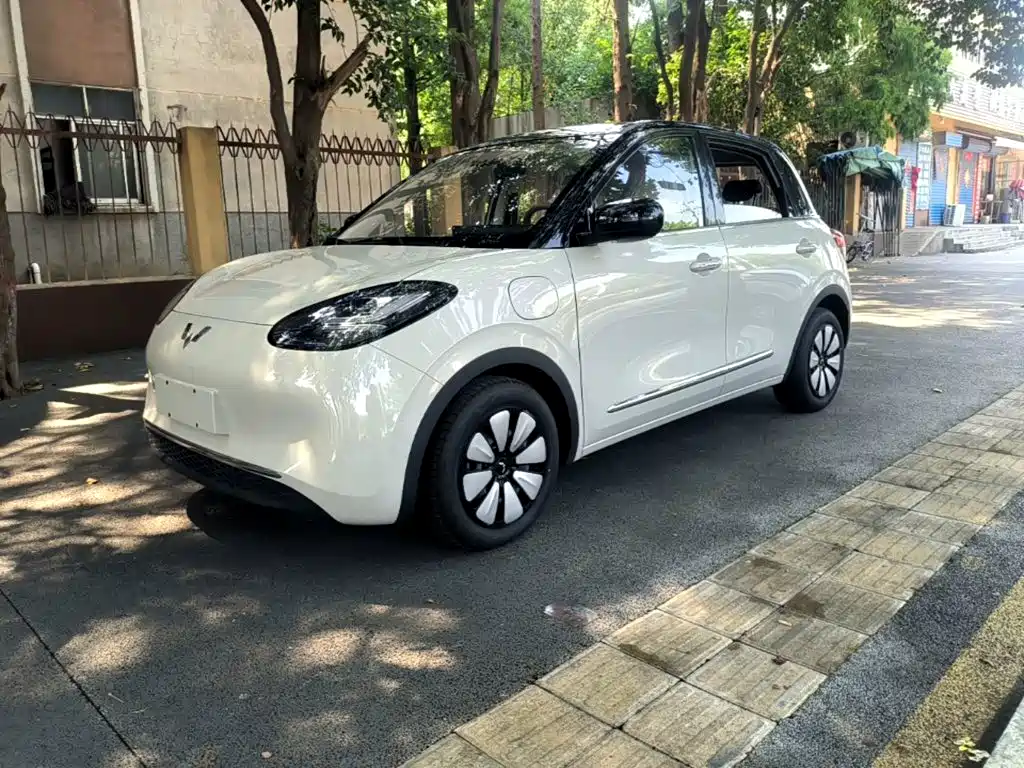 Wuling Binguo