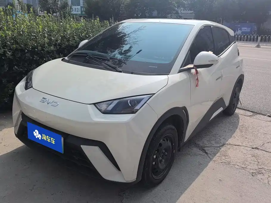 BYD Seagull