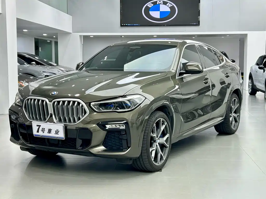 BMW X6