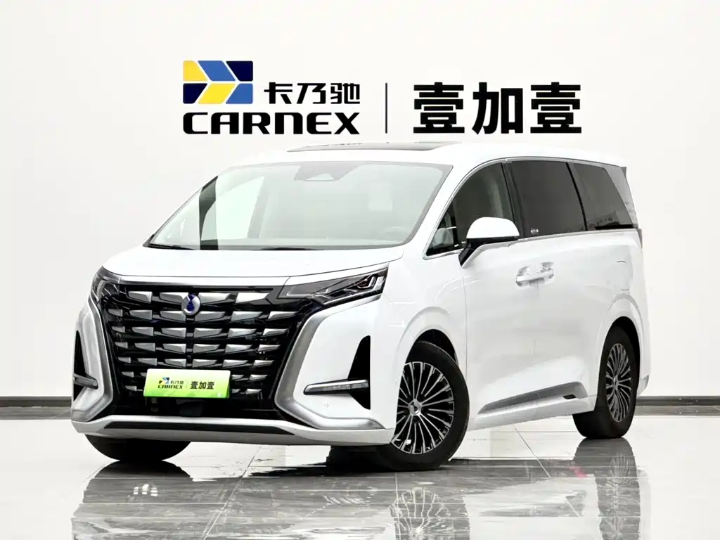 Denza D9