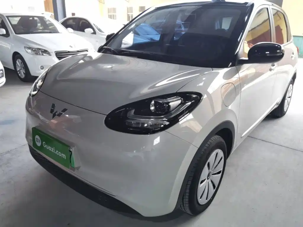 Wuling Binguo