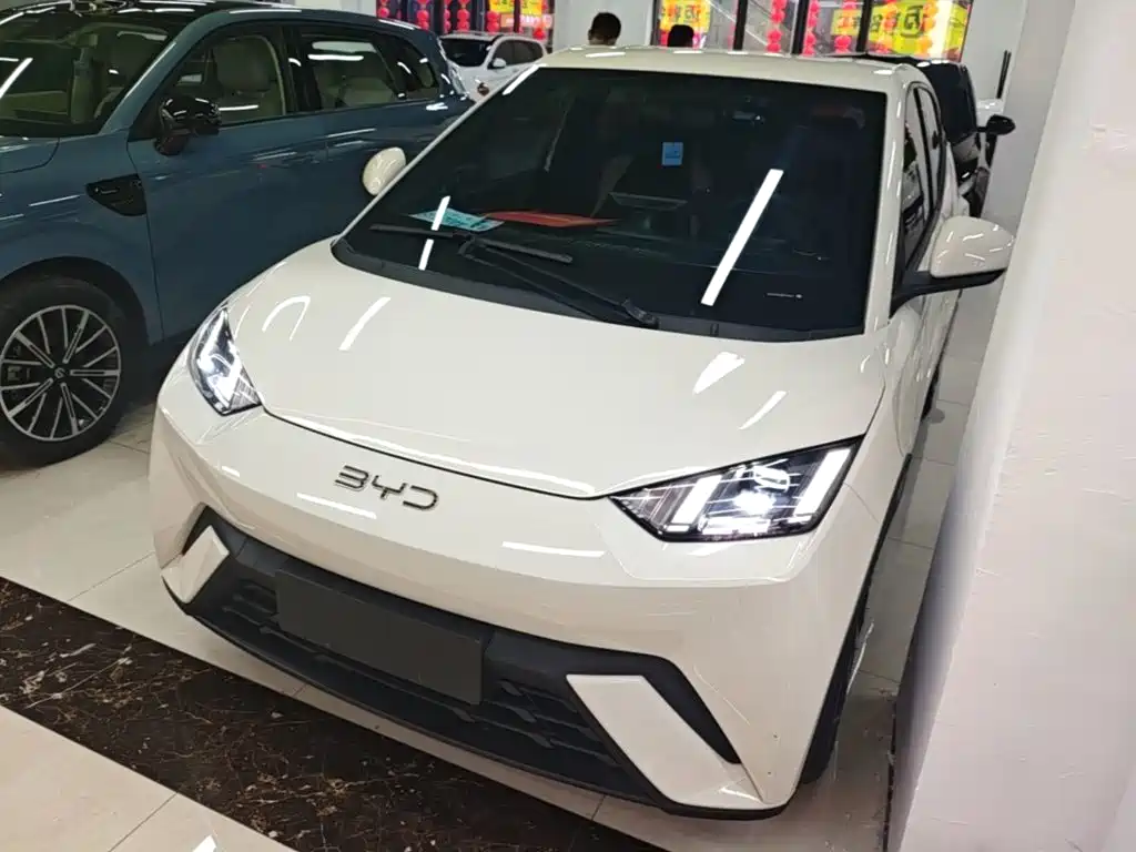 BYD Seagull