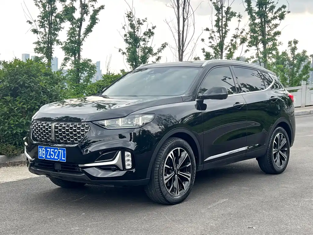 Wey VV6