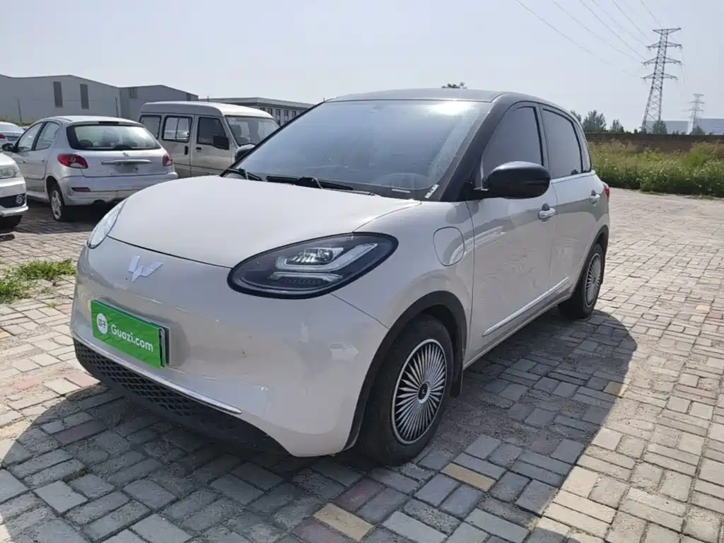 Wuling Binguo