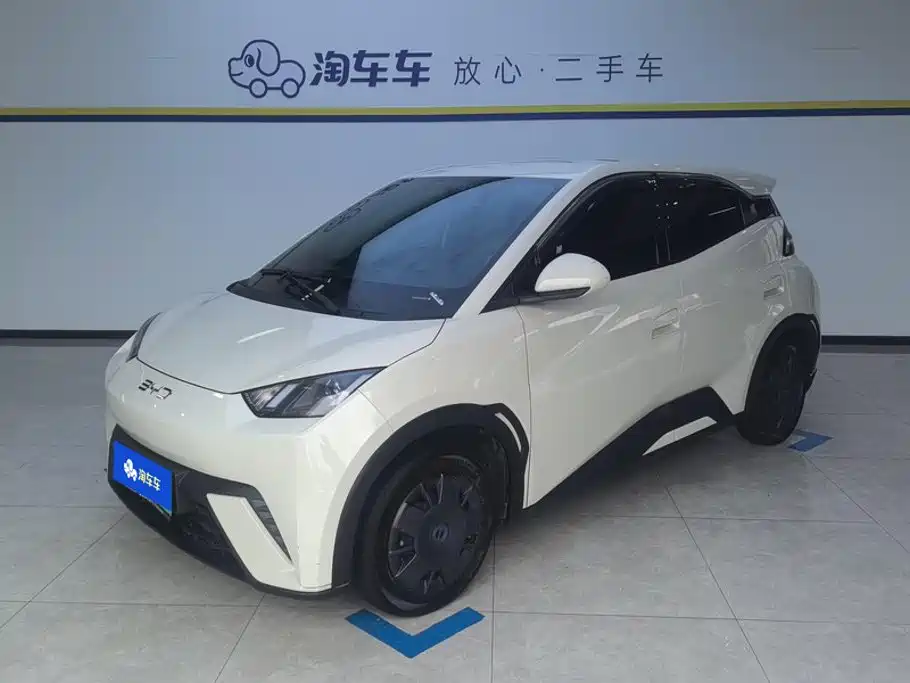 BYD Seagull