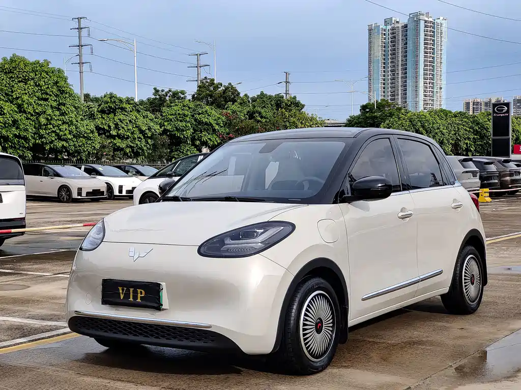 Wuling Binguo