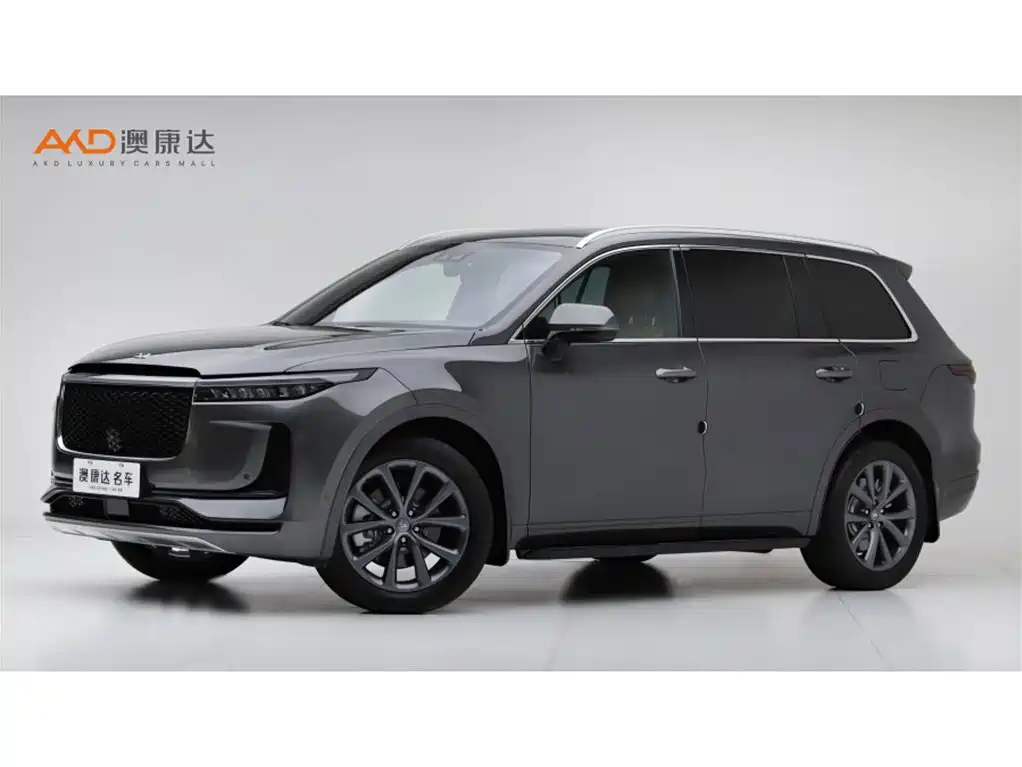Li Auto ONE