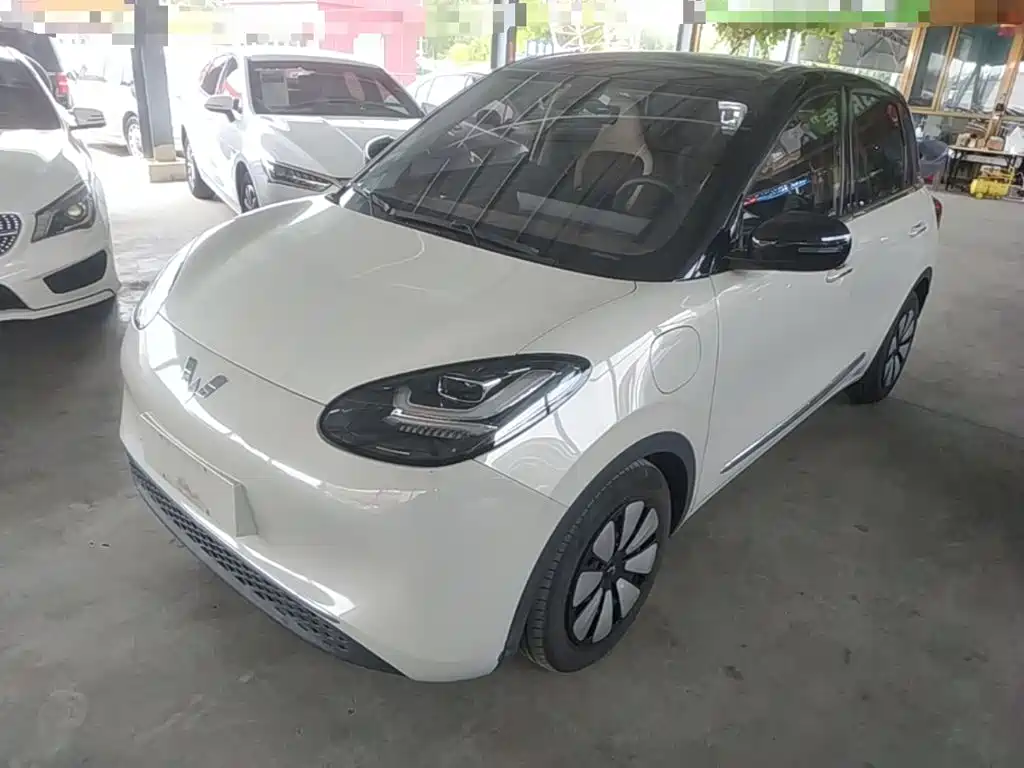 Wuling Binguo