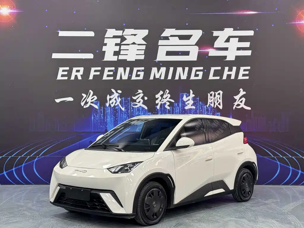 BYD Seagull