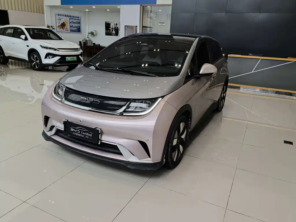 BYD Dolphin
