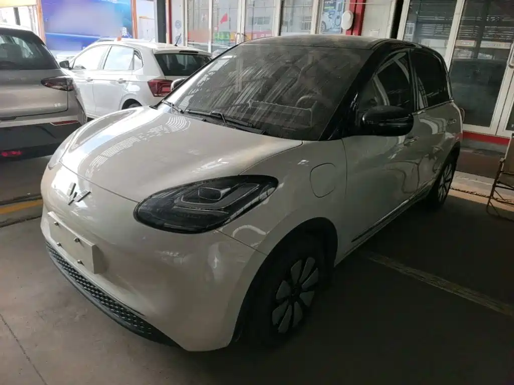 Wuling Binguo