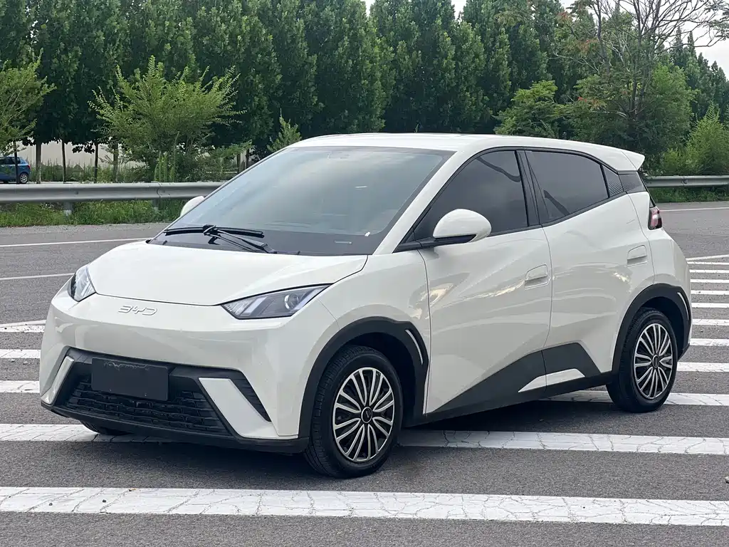 BYD Seagull