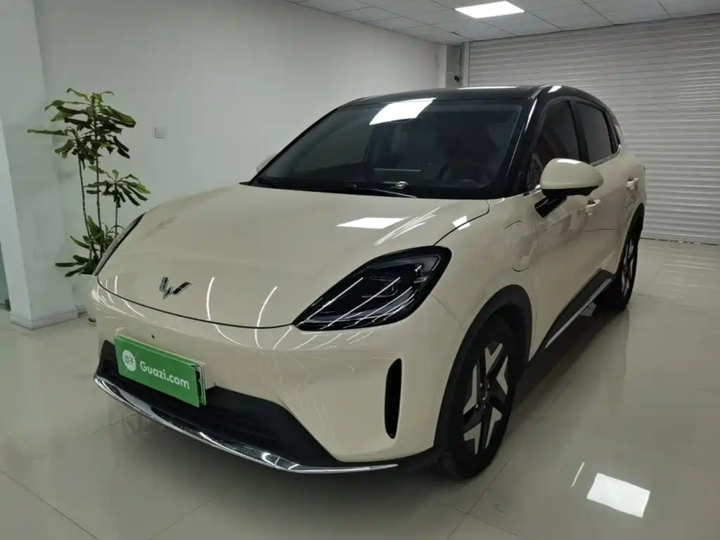 Wuling BinguoS