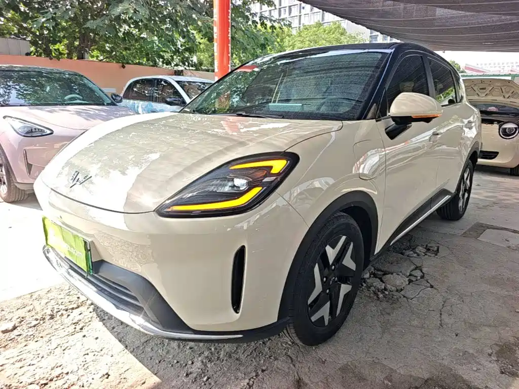 Wuling BinguoS