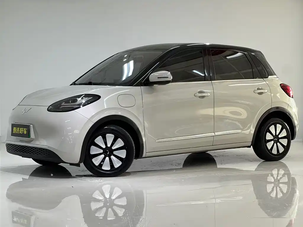 Wuling Binguo