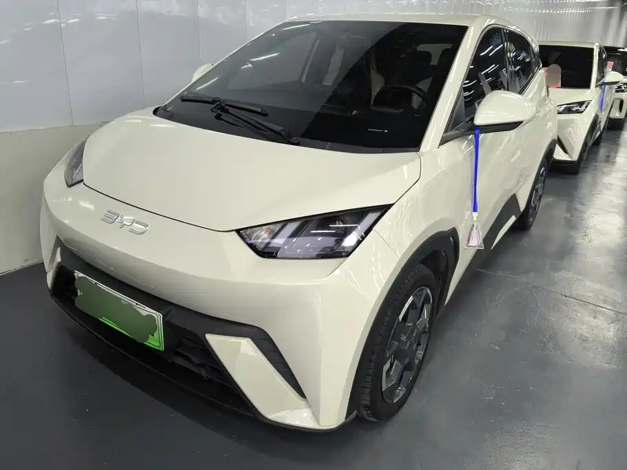 BYD Seagull