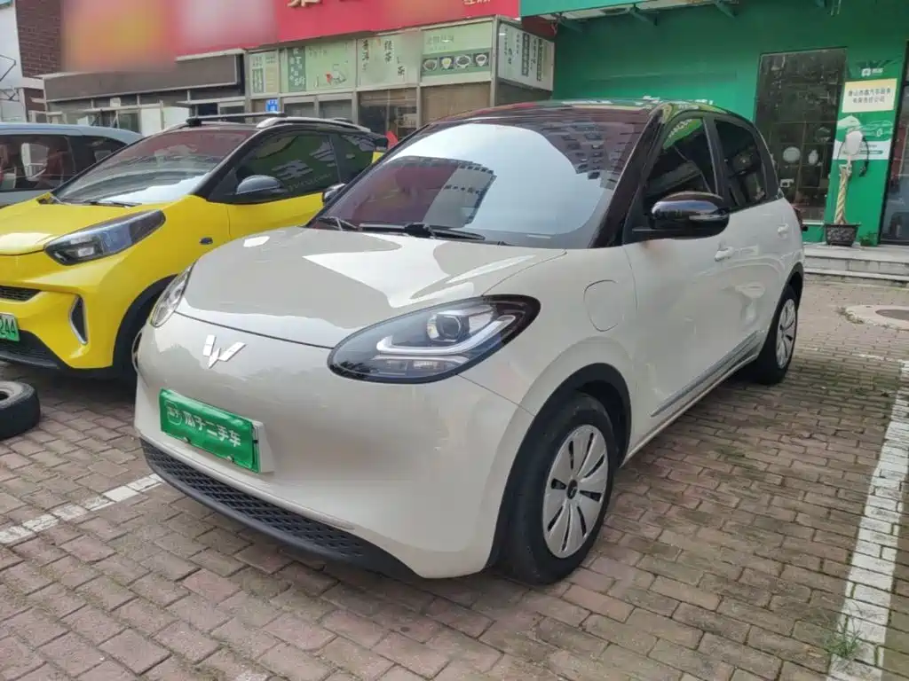 Wuling Binguo