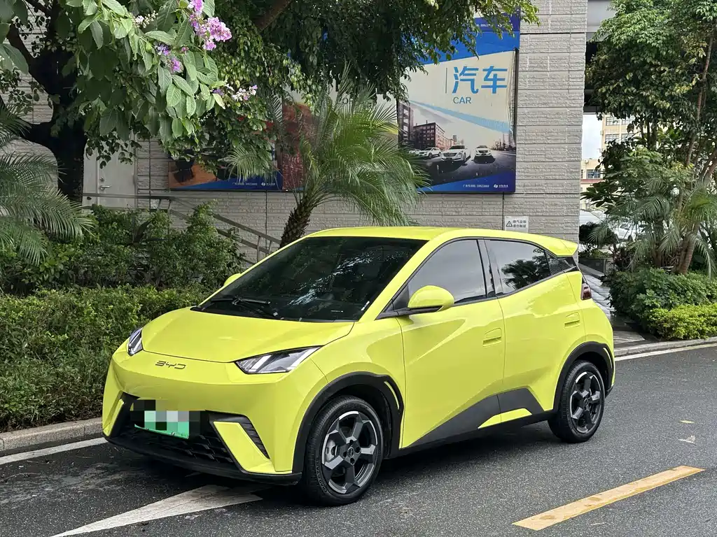BYD Seagull