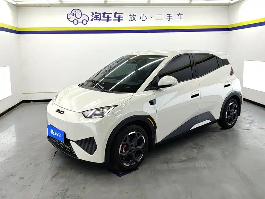 BYD Seagull