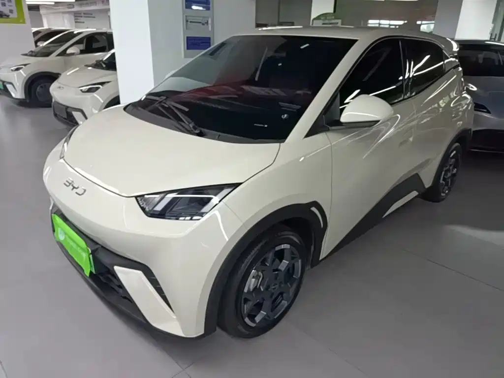BYD Seagull