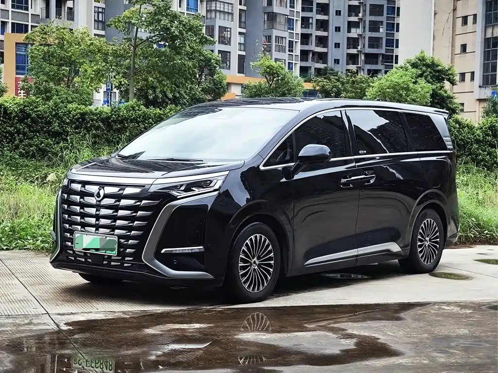 Denza D9