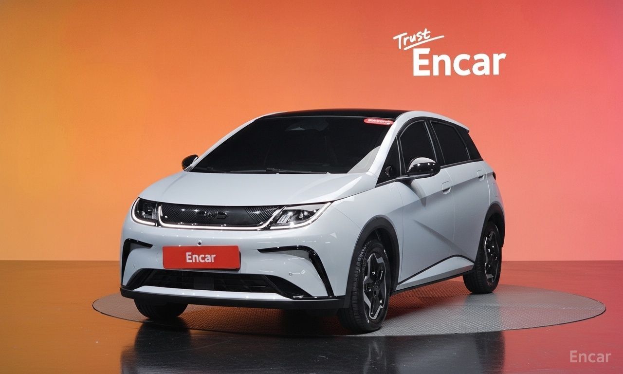 BYD Dolphin