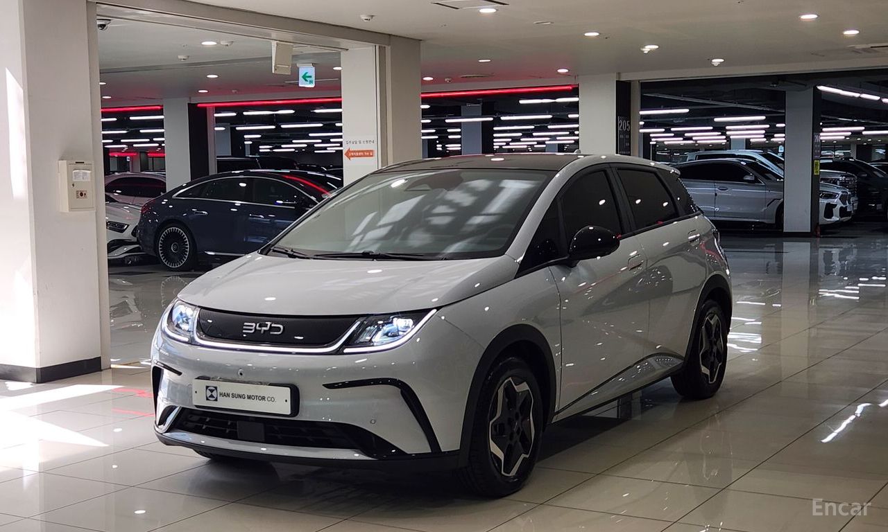 BYD Dolphin