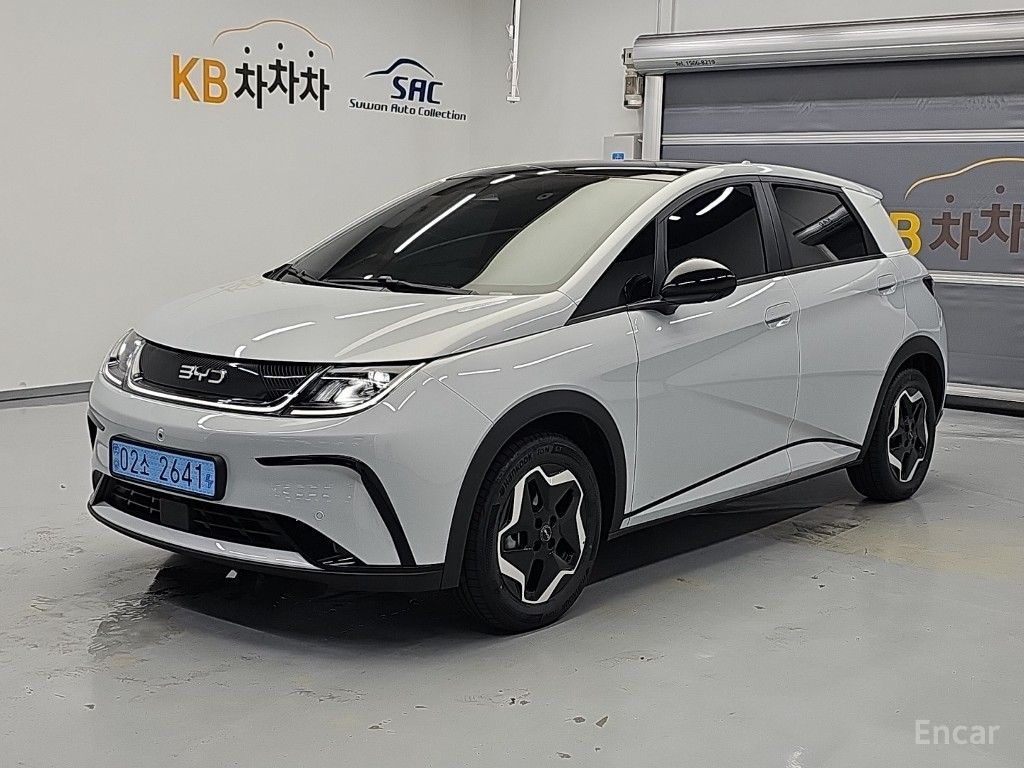 BYD Dolphin