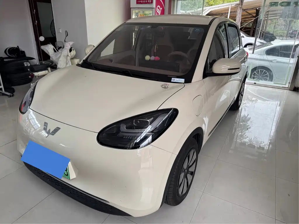 Wuling Binguo