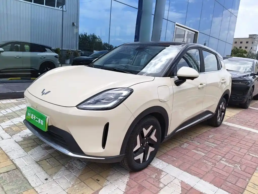 Wuling BinguoS