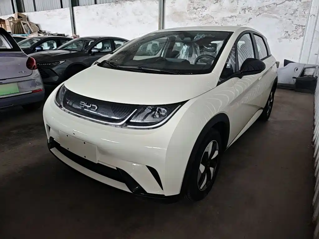 BYD Dolphin