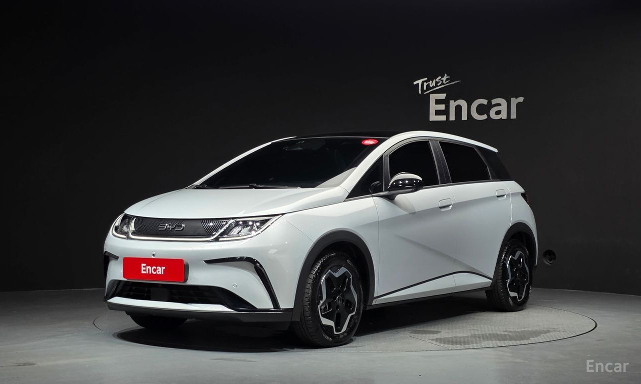 BYD Dolphin