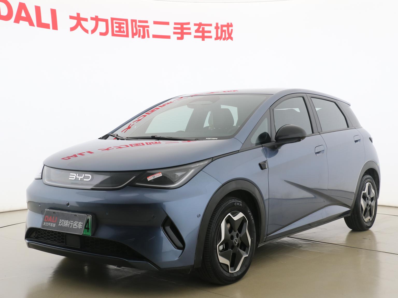 BYD Dolphin