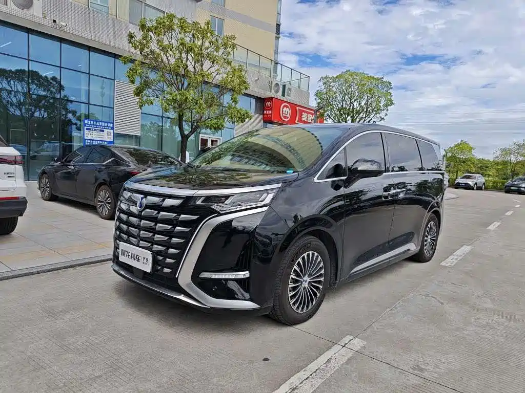 Denza D9