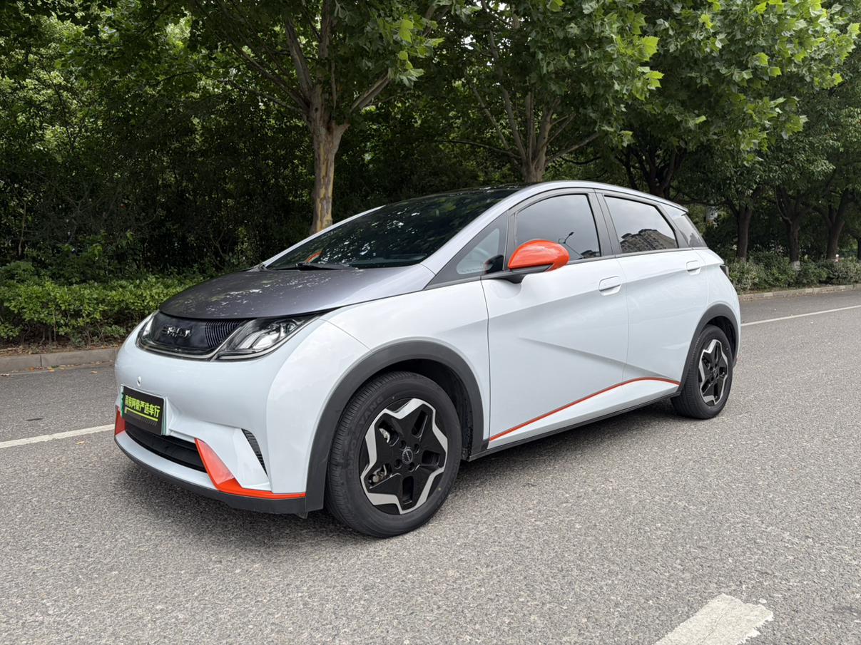 BYD Dolphin