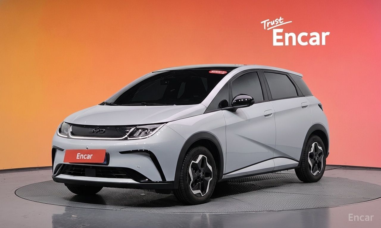 BYD Dolphin